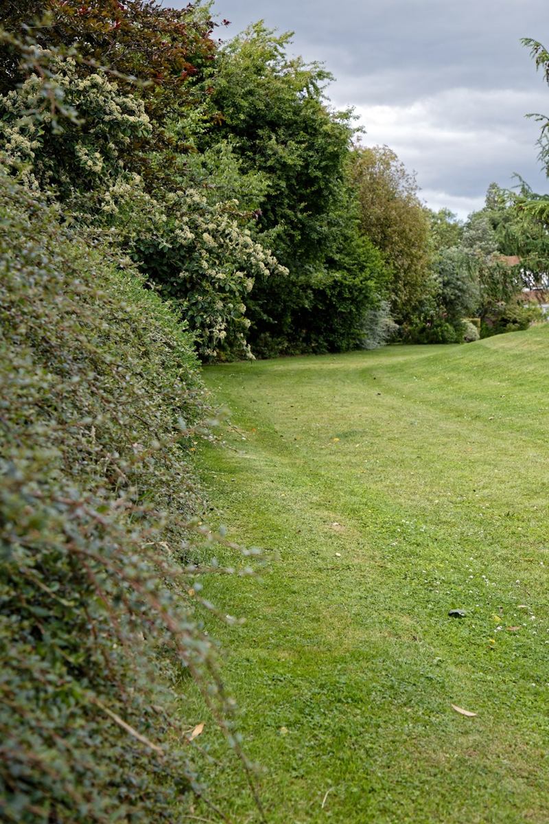 Narrow curved grass path beside dense trees and shrubs in an English garden, illustrating the sort of passage to check before buying a robot mower